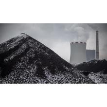 Global thermal coal demand is expected to fall by 2% in 2025