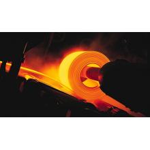 In the second half of February, the average daily output of crude steel in key steel enterprises was 1.961 million tons.