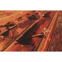 In June, Heideland port iron ore exports 48.94 million tons