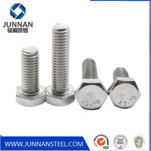 CUSTOM FASTENER 316 STAINLESS STEEL HEX BOLT WITH GOOD PRICE