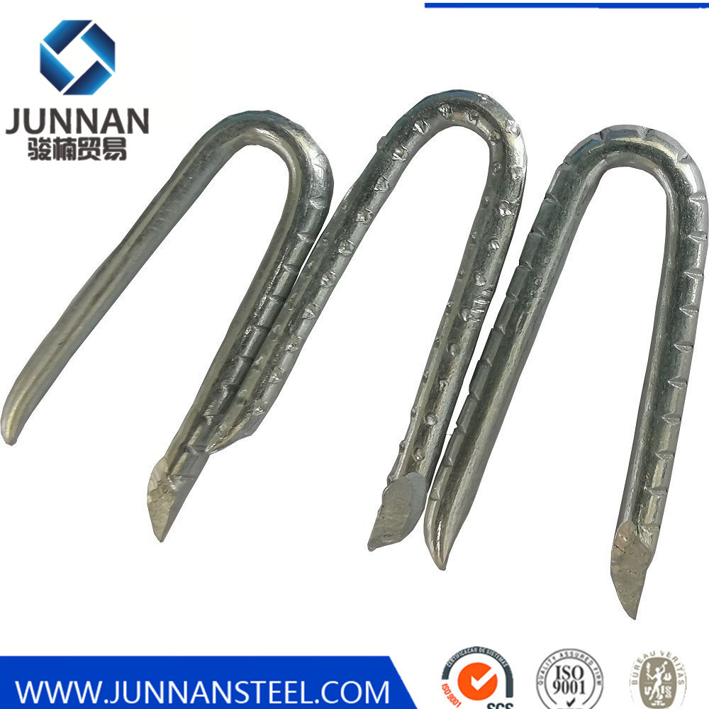 Galvanized U Type U shape Nails for barbed wire fixing Utype nails