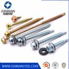 Roofing Screw, Chinese factory direct hot sale all kinds of head type full size Self Drilling Screw