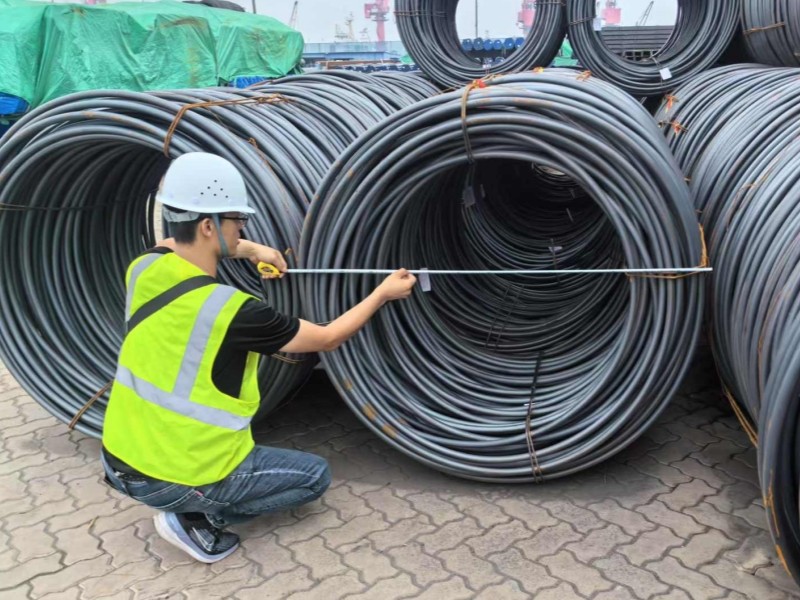Global Client Visits at Junnan Steel