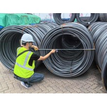 Global Client Visits at Junnan Steel