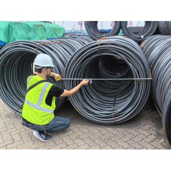 Global Client Visits at Junnan Steel