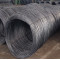 Prime Quality SAE 1010 Low Carbon Hot Rolled Steel Wire Rod for Galvanized Wire