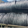 Prime Quality SAE 1010 Low Carbon Hot Rolled Steel Wire Rod for Galvanized Wire