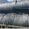 Prime Quality SAE 1010 Low Carbon Hot Rolled Steel Wire Rod for Galvanized Wire