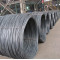 High Grade Carbon Steel 8mm Wire Rod in Coils for Industrial Manufacturing