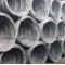 High Grade Carbon Steel 8mm Wire Rod in Coils for Industrial Manufacturing