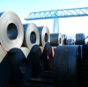 Wire Rod as Raw Material: The Backbone of Steel Processing and Manufacturing