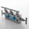 6000PSI Stainless Steel 316 Forged 5 Way Needle Valve Manifold for Oil and Gas