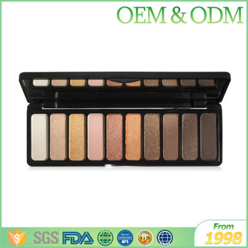 Professional 10 color eye shadow women beauty shining shadow eye makeup