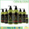 OEM Supplier private label olive argan hair shampoo smooth silky hair care set anti-dandruff shampoo