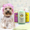 Private label OEM pet best hair shampoo import and conditioner for dog