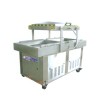 DZD-680/2SD automatic double chamber vacuum packaging machine