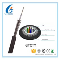 12 Core Conduit Optical Cable GYFTY