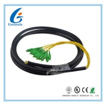 CATV Network Optical Fiber Pigtail 12 Core Fiber Outdoor SC Pigtail Waterproof