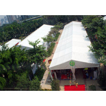 Wedding Party Event Canopy In France