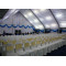 Clear  Curve Marquee Tent  For Wedding  200 People Seater Guest