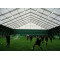 Curve marquee tent for Sports hall in size 25x50m 25m x 50m 25 by 50 50x25 50m x 25m