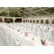 Clear Arcum Marquee Tent  For Banquet Hall  200 People Seater Guest