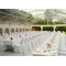 Arcum Marquee Tent For Wedding 2500 People Seater Guest