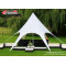 Popular Aluminum  Star Shade Tent For Party