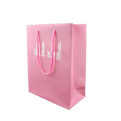 Fashion and hot sale printing colored paper bag with rope