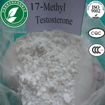 17-alpha-Methyl Testosterone