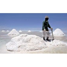 Chile's June lithium carbonate exports increased by 138%