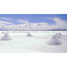 Salt Lake shares: ecological magnesium lithium potassium plant scenery is good