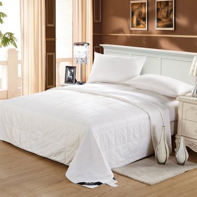 LILYSILK Mulberry Silk Comforter Filled By Pure Mulberry Silk Floss Cotton Cover Machine Washable Queen 87x90 Inches