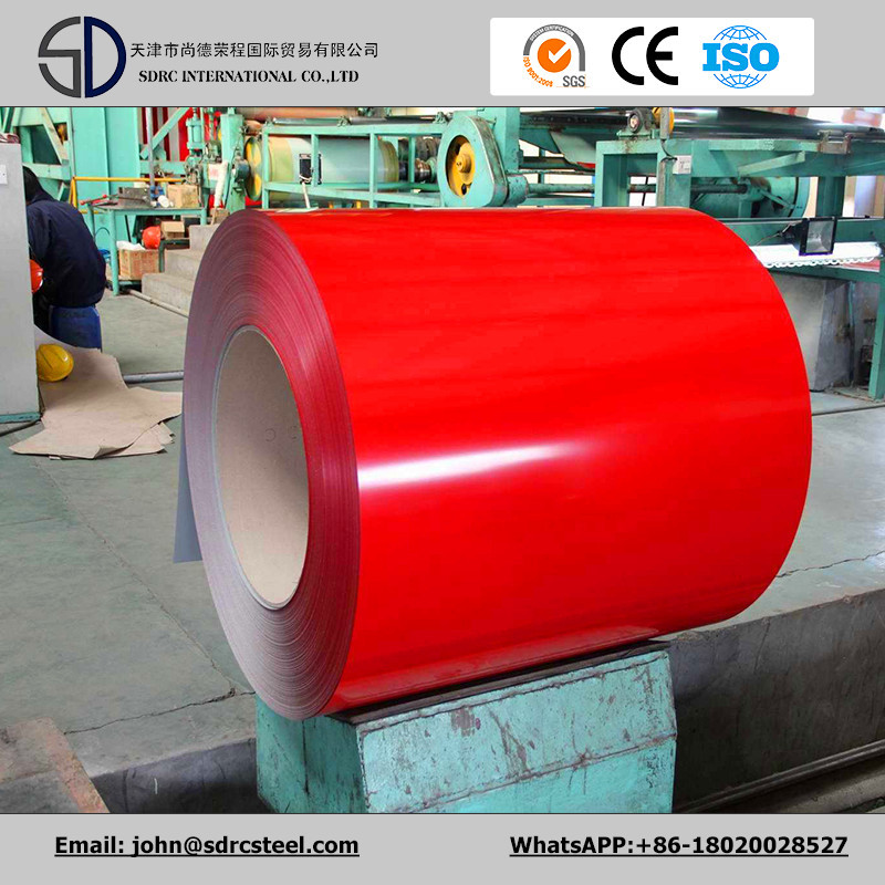 Pre Painted Galvanized Steel Coil Flower Coated PPGI for Building Material