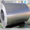 SPCC, Spcd, DC03 Cold Rolled Steel Coil