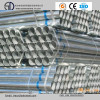 Ss400 Carbon Pregalvanized Round Steel Pipe for Building Material