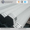 Gi Hot Dipped Galvanized Gi Steel Pipes for Structure