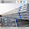 Hot Dipped Galvanized Steel Tube/Gi Pipe/Galvanized Square Steel Pipe