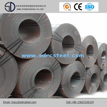 Steel Coil CRC SPCC St12 DC01 Cold Rolled Steel Coil