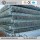 Ss400 Carbon Pregalvanized Round Steel Pipe for Building Material