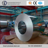 650/1000/1219/1220 Dx51d, SPCC, SGCC Hot Dipped Galvanized Steel Coil