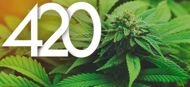 4/20: The Meaning and Origin of Cannabis's Biggest Day of the Year