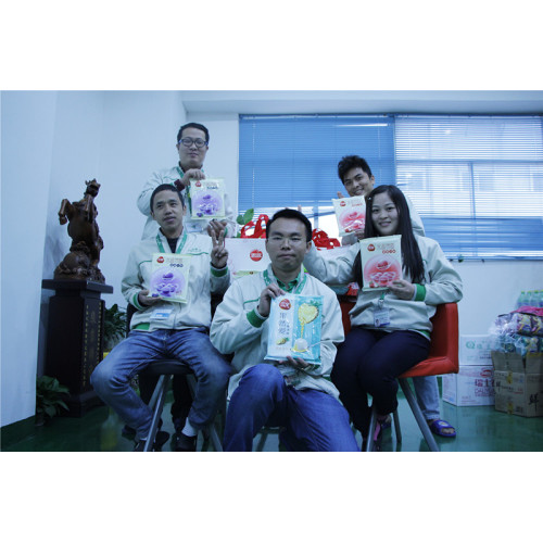 Festival de los faroles Transspring