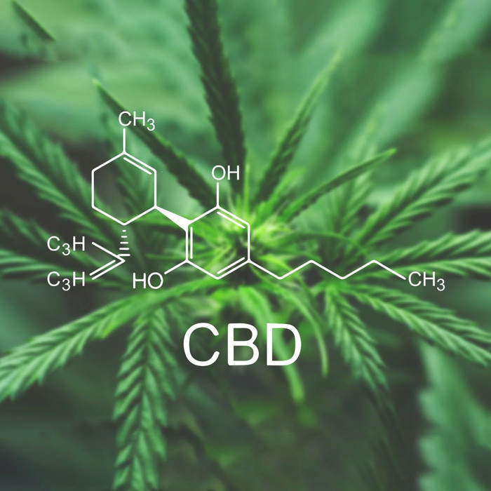 What You Need to Know About CBD?