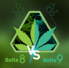 Los cannabinoides más conocidos: D8 VS D9