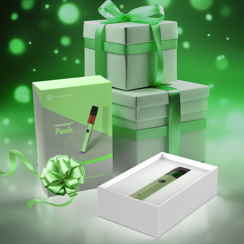 6 ideas prácticas de regalos de vapeo para estas fiestas