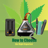 What type of vaporizer is the best fit for your needs?