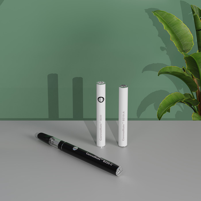 Empower Your 2024 Cartridges with the Perfect 510 Vape Battery