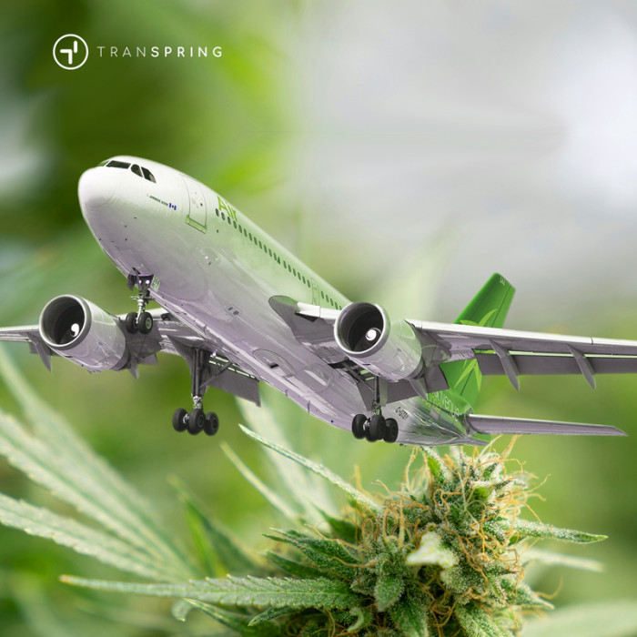 Viajar con un vaporizador de cannabis en EE. UU.: Guía 2024 para cumplir con las normas