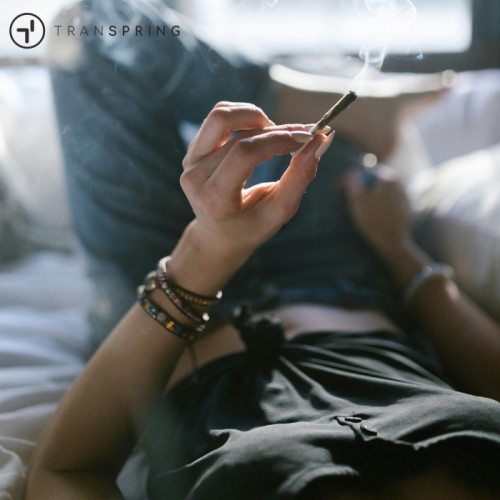 Paranoia por cannabis: consejos para evitar la paranoia durante el efecto